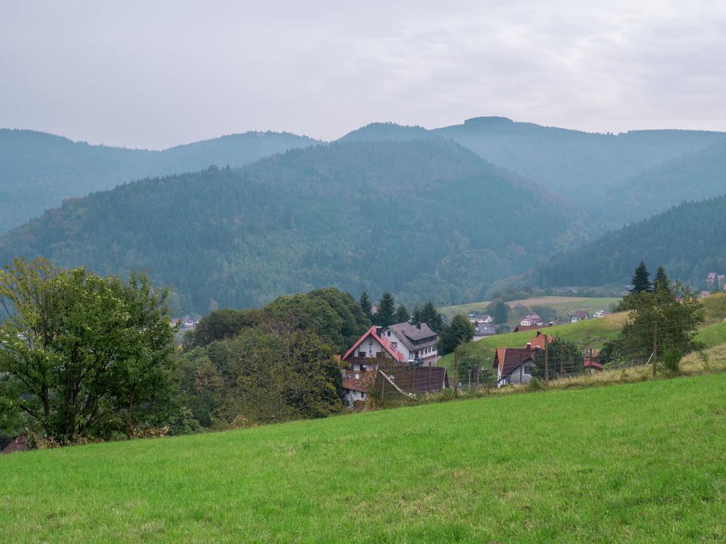 Quaint Apartment In Buhlertal With Private Garden Exterior photo